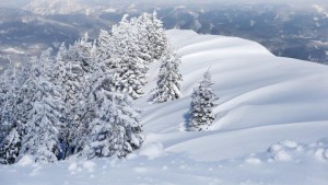 tiefverschneite-winterlandschaft-auf-der-gemeindealpe-mitterbach